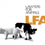 LFA logo